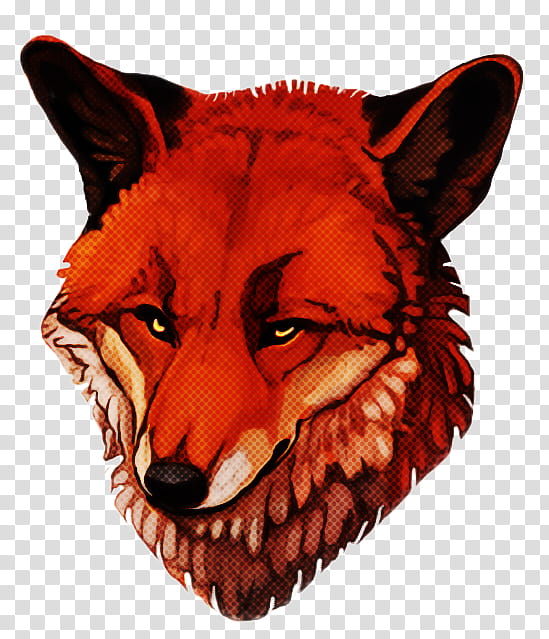 head red fox snout wildlife red wolf, Mouth, Coyote transparent background PNG clipart