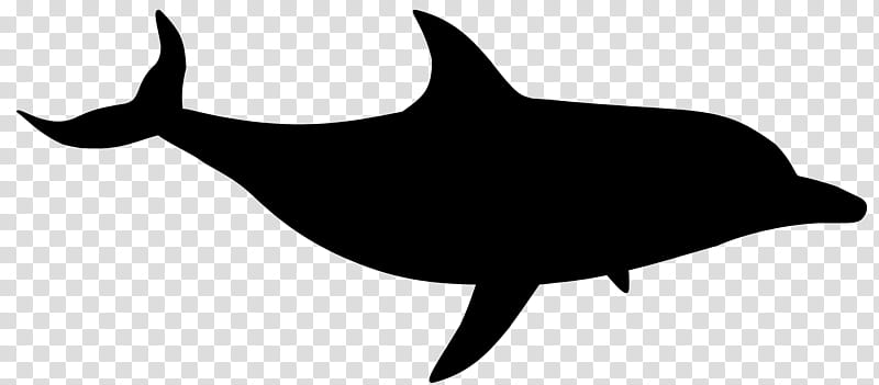 Shark Fin, Dolphin, Silhouette, Beak, Killer Whale, Cetacea, Fish, Bottlenose Dolphin transparent background PNG clipart