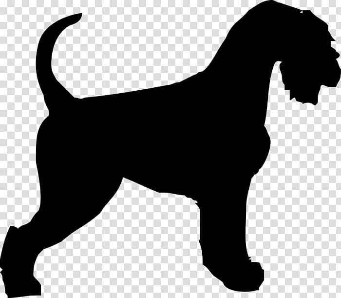 Dog Silhouette, Bloodhound, Beagle, Coonhound, Miniature Schnauzer, Rare Breed Dog, Sporting Group, Tail transparent background PNG clipart