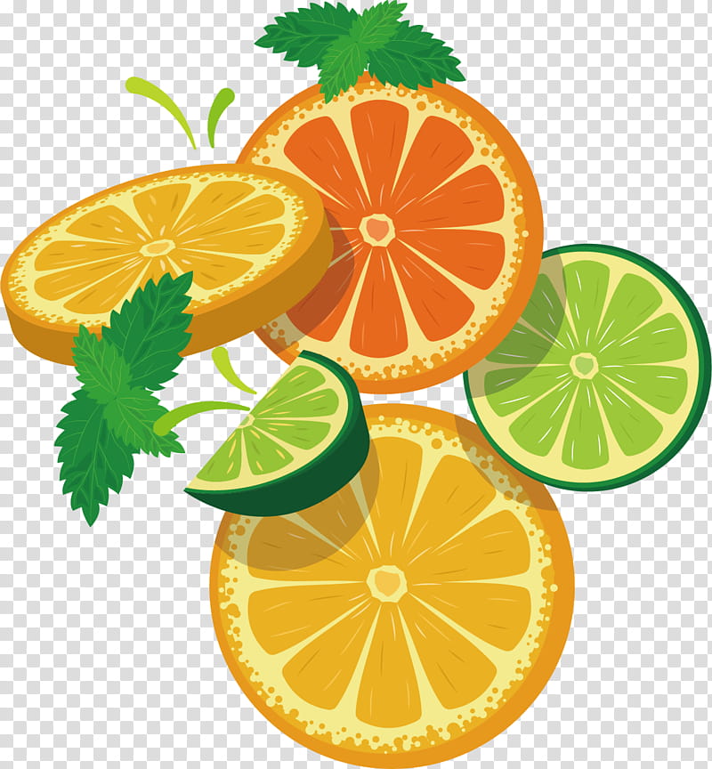 Lemon, Rangpur, Mandarin Orange, Key Lime, Bitter Orange, Vegetarian Cuisine, Tangelo, Citron transparent background PNG clipart