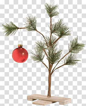 Christmas, pine tree with red Christmas bauble transparent background PNG clipart