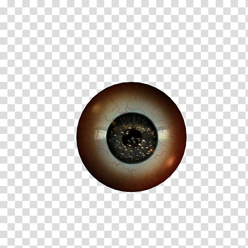 Texture Set  Eyeballs, brown eyeball transparent background PNG clipart