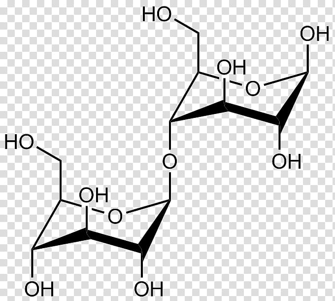Black Triangle, Glucuronic Acid, Adipic Acid, Pimelic Acid, Dgalacturonic Acid, Gluconic Acid, Glucuronide, Fischer Glycosidation, Nucleic Acid transparent background PNG clipart