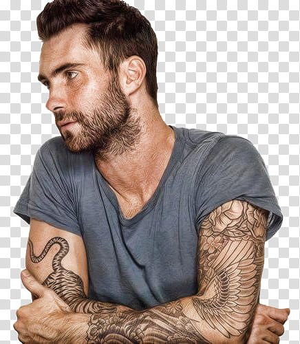 Adam-levine---bach transparent background PNG clipart