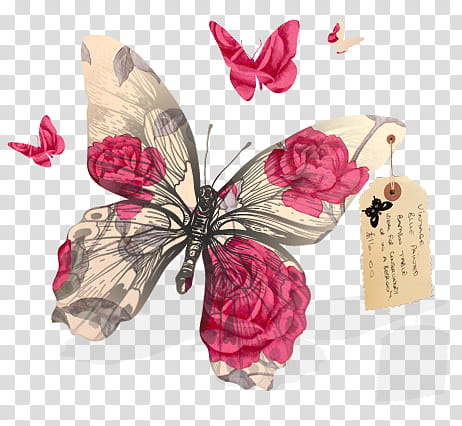 Vintage, red, white, and black floral butterfly illustration transparent background PNG clipart