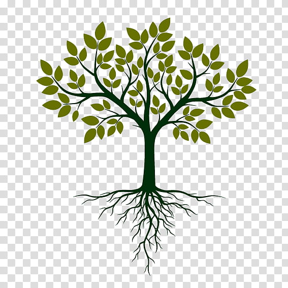 plant root clip art