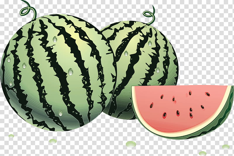 Drawing Of Family, Watermelon, Muskmelon, Food, Cucumber, Fruit, Cucurbits, Citrullus transparent background PNG clipart