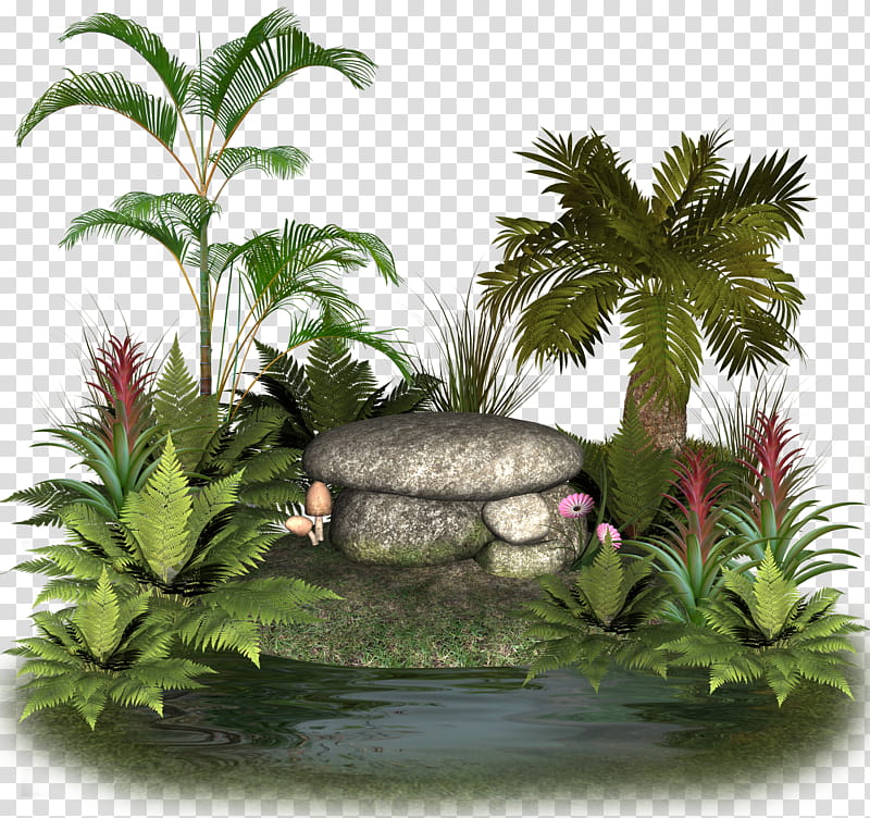 plants and rocks , green trees beside stone illustration transparent background PNG clipart