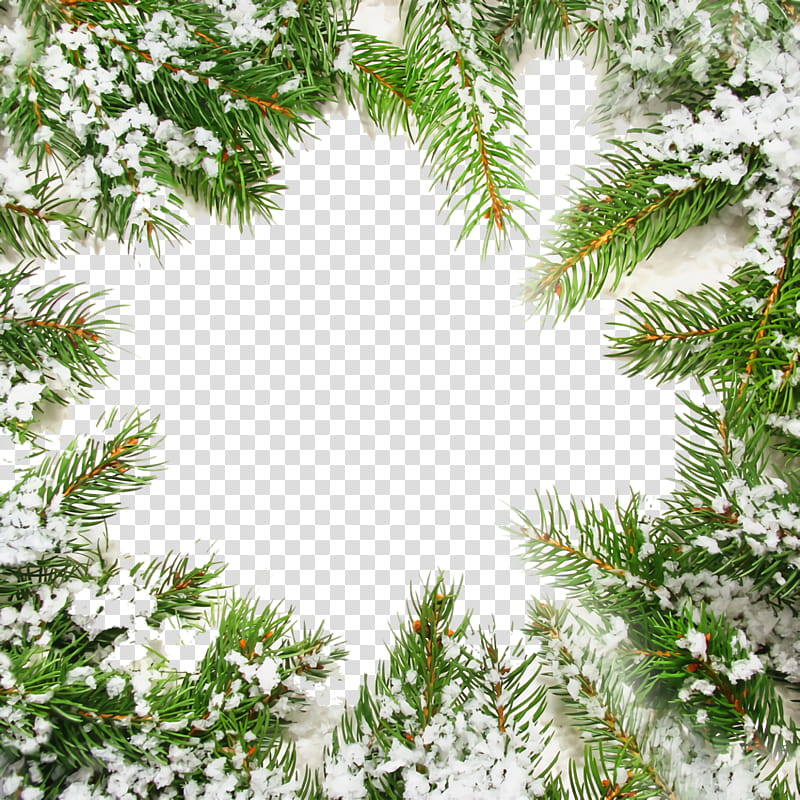 Christmas frame Christmas border Christmas decor, Christmas , Tree, White Pine, Oregon Pine, Branch, Leaf, Christmas Decoration transparent background PNG clipart