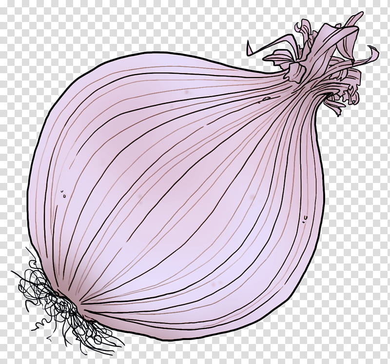 shallot onion vegetable red onion plant, Allium, Elephant Garlic, Food transparent background PNG clipart