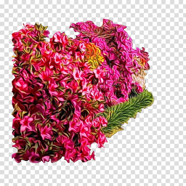 pink flower cut flowers plant magenta, Watercolor, Paint, Wet Ink, Prince Of Wales Feathers, Cockscomb, Bouquet, Amaranth Family transparent background PNG clipart