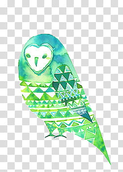 Vintage Animals Sorpresita  , green and blue owl illustration transparent background PNG clipart