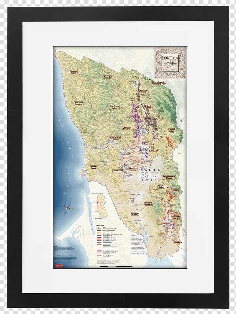 Grape, Sonoma, Sonoma Valley Ava, Wine Country, Napa County California, Healdsburg, Common Grape Vine, Sonoma County Wine transparent background PNG clipart