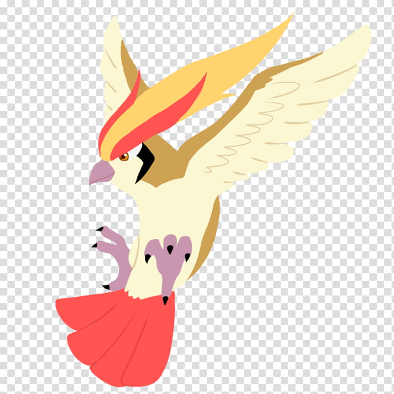 Pidgeot from normal team, Corban transparent background PNG clipart