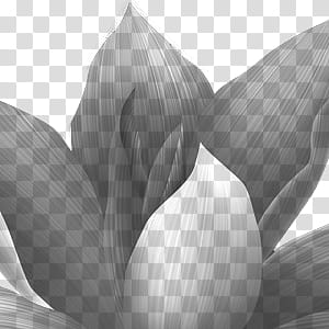 Brushes, grey flower illustration transparent background PNG clipart