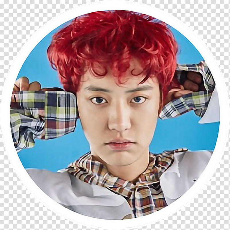 GIFS S CHEN CHANYEOL LUCKYONE transparent background PNG clipart