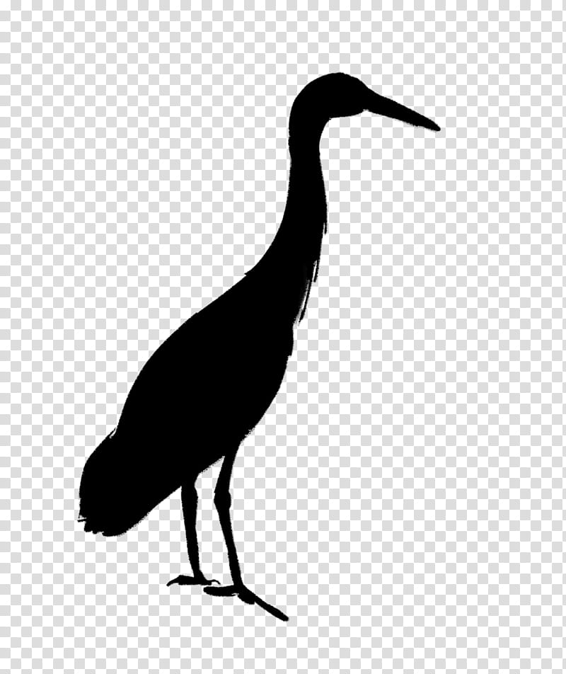 Crane Bird, Stork, Water Bird, Ibis, Beak, Silhouette, Cranelike Bird, Heron transparent background PNG clipart