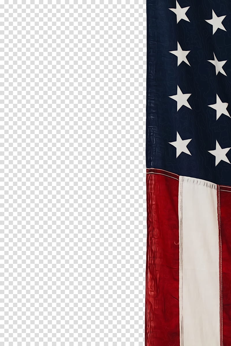 Veterans Day United States, Republican Party, Democratic Party, Ambassador, President Of The United States, Election, United States Senate, Diplomat transparent background PNG clipart