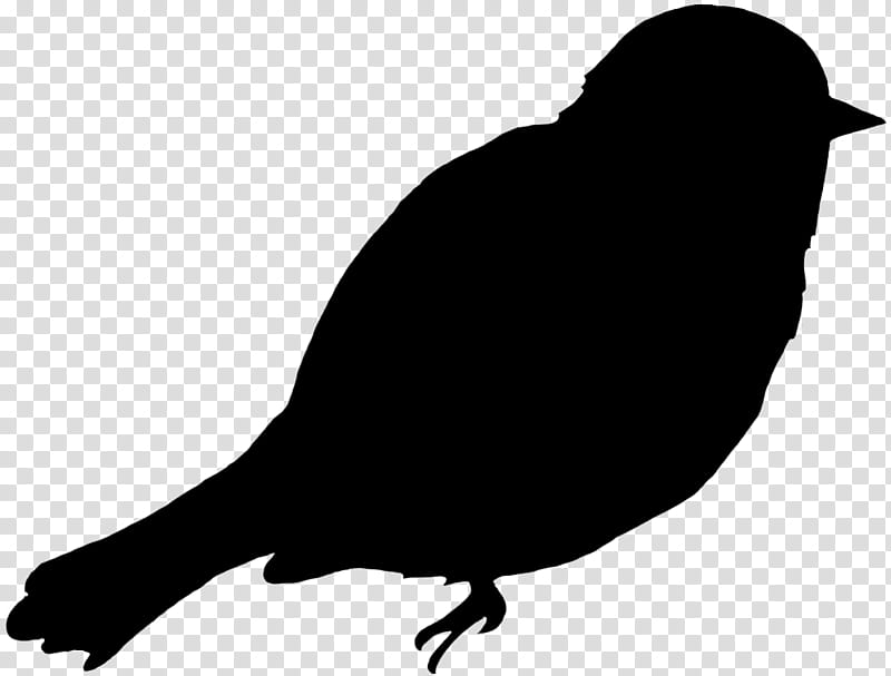 Robin Bird, Beak, Finches, American Sparrows, Silhouette, Blackbird, Perching Bird, Crow transparent background PNG clipart