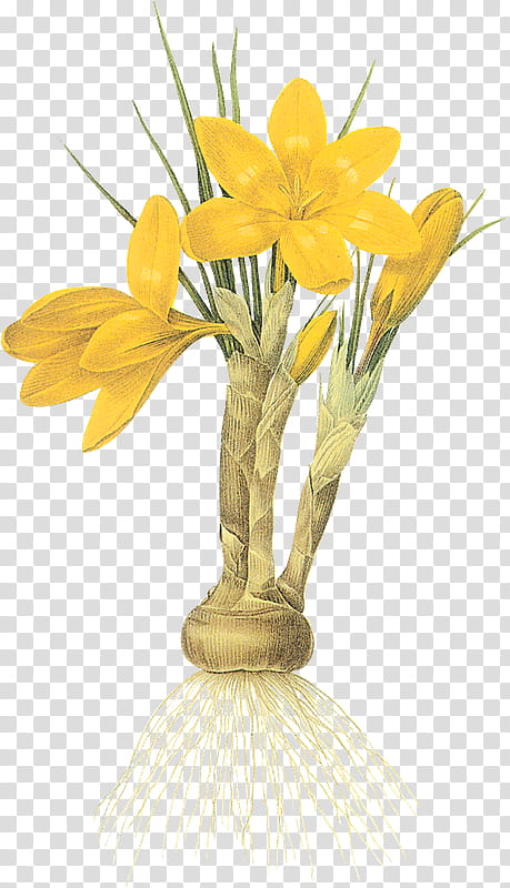 Bouquet Of Flowers Drawing, Choix Des Plus Belles Fleurs, Painting, Watercolor Painting, Gouache, Yellow, Plant, Cut Flowers transparent background PNG clipart