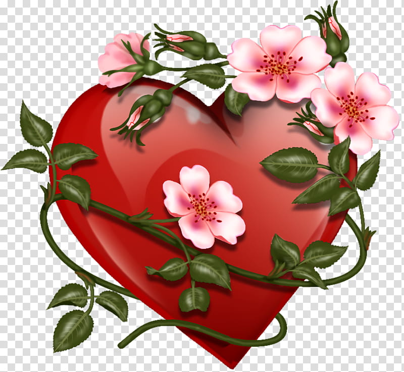 Valentine hearts red heart Valentines, Love, Flower, Prickly Rose, Plant, Rosa Rubiginosa, Pink, Rosa Dumalis transparent background PNG clipart
