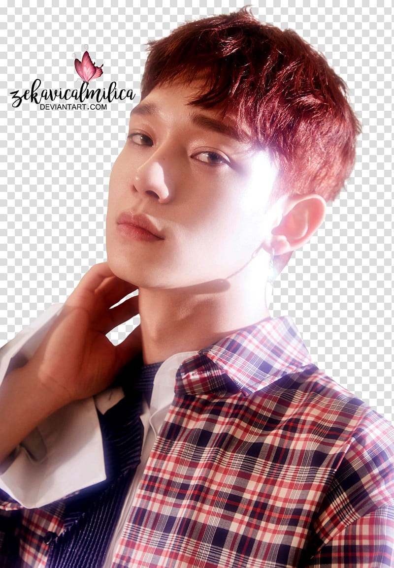 EXO CBX Chen Blooming Days, man looking at camera transparent background PNG clipart
