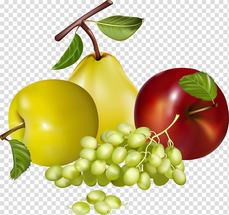 Grape, Juice, Fruit, Food, Vegetable, Dried Fruit, Pear, Fruit Vegetable transparent background PNG clipart