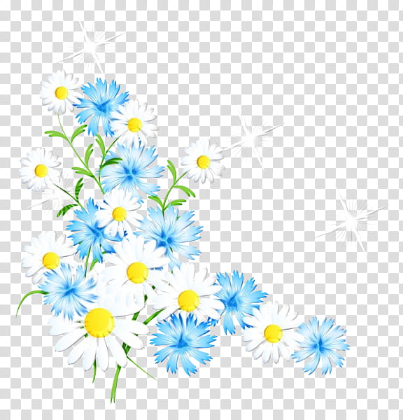 Floral Flower, Floral Design, Samsung Galaxy S10, Samsung Galaxy J5 Prime 2016, Mayweed, Camomile, Chamomile, Daisy transparent background PNG clipart