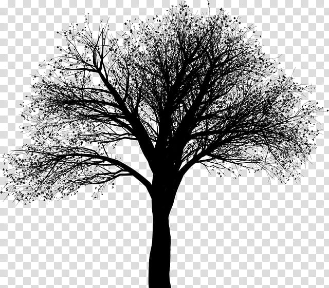 Tree Branch Silhouette, Black White M, Winter
, Technical Support, Woody Plant, Blackandwhite, Twig, Trunk transparent background PNG clipart