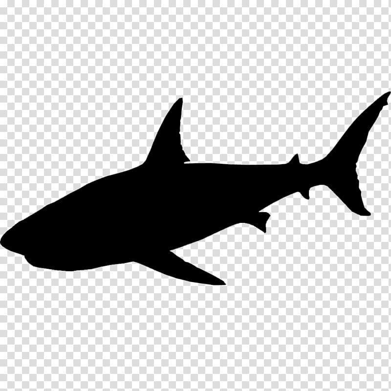 Great White Shark, Requiem Sharks, Silhouette, Fish, Fin, Cartilaginous Fish, Lamniformes, Squaliformes transparent background PNG clipart
