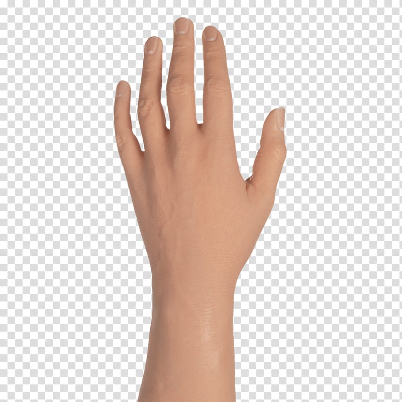 finger hand skin arm gesture, Wrist, Nail, Thumb, Beige transparent background PNG clipart