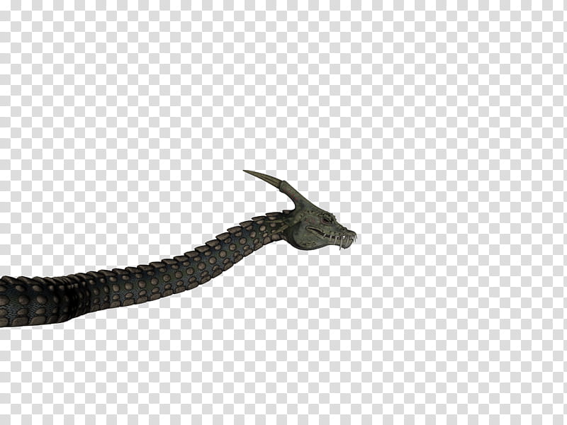 Dinokonda , black dragon transparent background PNG clipart
