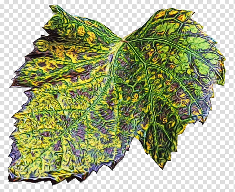 Watercolor Flower, Paint, Wet Ink, Plant Pathology, Leaf, Tree, Plants, Green transparent background PNG clipart