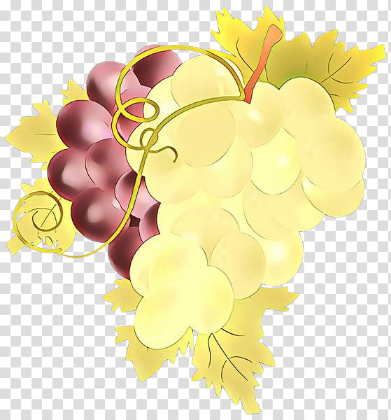 grape grapevine family yellow leaf vitis, Cartoon, Plant, Fruit, Seedless Fruit transparent background PNG clipart