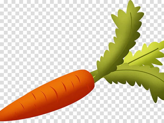 Vegetables, Carrot, Root Vegetables, Food, Salad, Celery, Fruit, Greens transparent background PNG clipart