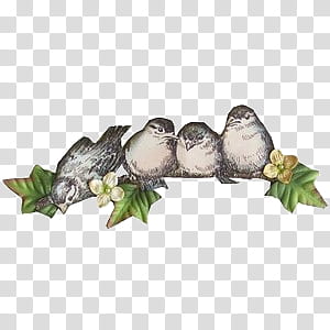 various set II, four birds on tree branch painting transparent background PNG clipart