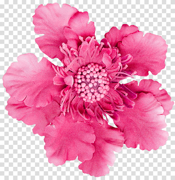 Pink Flower, Carnation, Pink Flowers, Cut Flowers, Floristry, Floral Design, White, Petal transparent background PNG clipart