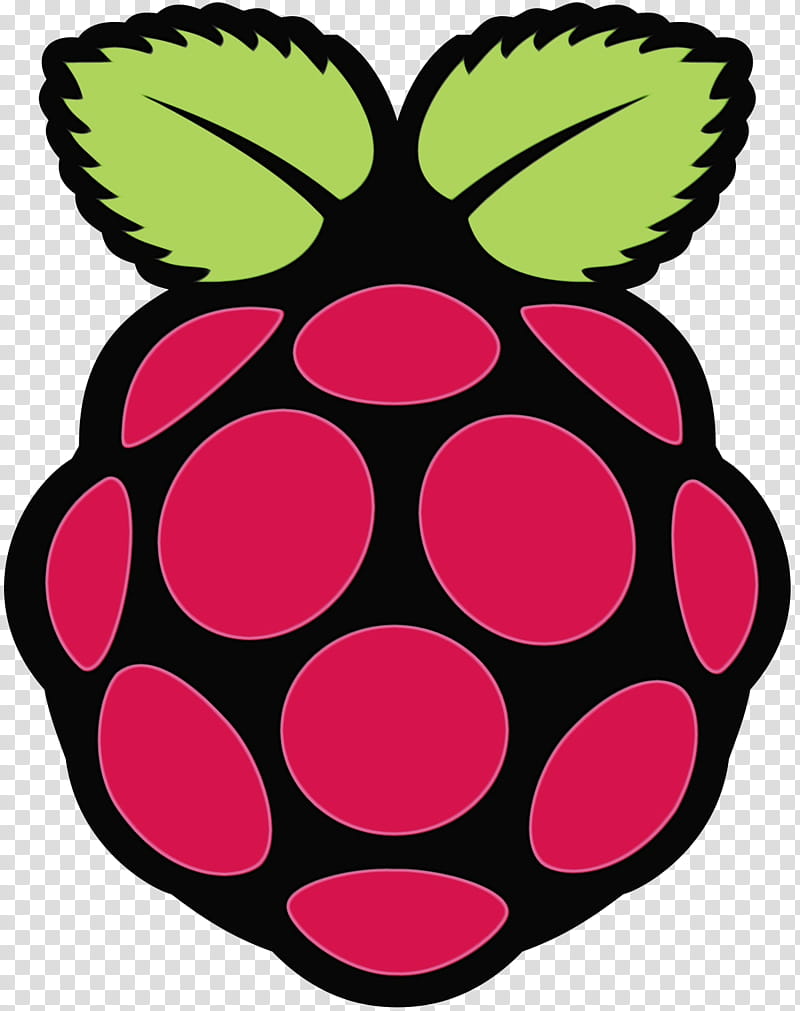 Arduino Logo, Raspberry Pi, Raspberry Pi Foundation, Computer, Singleboard Computer, Computer Science, System On A Chip, Sd Card transparent background PNG clipart