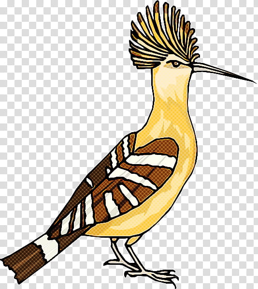 bird beak eastern meadowlark roadrunner perching bird, Songbird, House Sparrow, Old World Oriole, Animal Figure transparent background PNG clipart