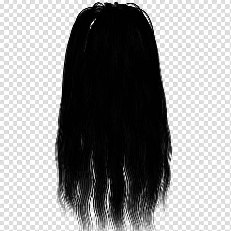 Basic Hair Black Hair Illustration Transparent Background Png