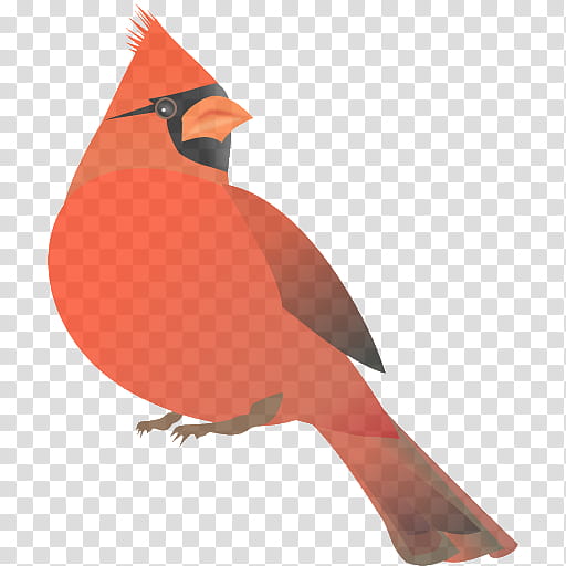 bird northern cardinal beak cardinal songbird, Perching Bird transparent background PNG clipart