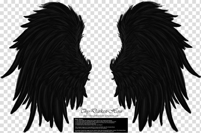 Frill and Fluff Wings Black, black and gray hair wig transparent background PNG clipart