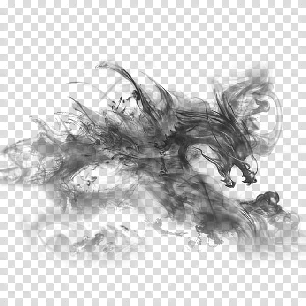 Gold Drawing, China, Chinese Dragon, Culture, Bilibili, Pixiu, Black And White
, Figure Drawing transparent background PNG clipart