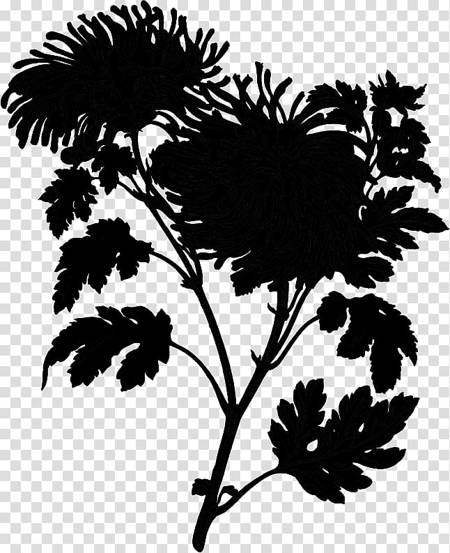 Black And White Flower, Chrysanthemum, Black White M, Floral Design, Leaf, Petal, Plant Stem, Silhouette transparent background PNG clipart