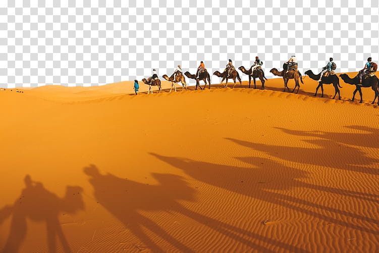 desert camel sahara natural environment sand, Aeolian Landform, Erg, Dune, Arabian Camel, Landscape transparent background PNG clipart