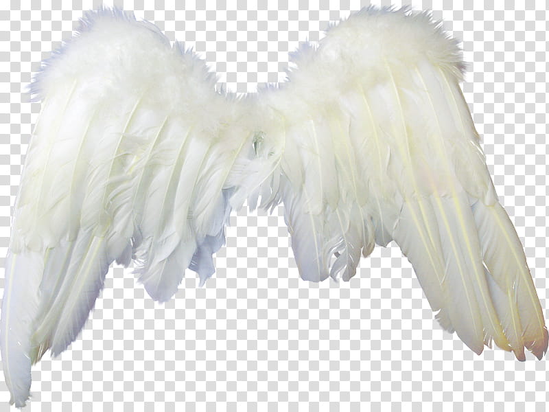 Recursos Alas De Angel , angel wing transparent background PNG clipart