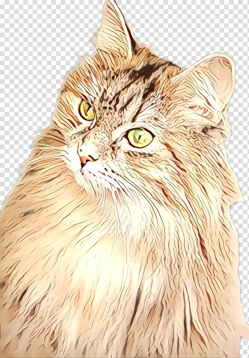 cat whiskers small to medium-sized cats domestic long-haired cat maine coon, Cartoon, Small To Mediumsized Cats, Domestic Longhaired Cat, Siberian transparent background PNG clipart