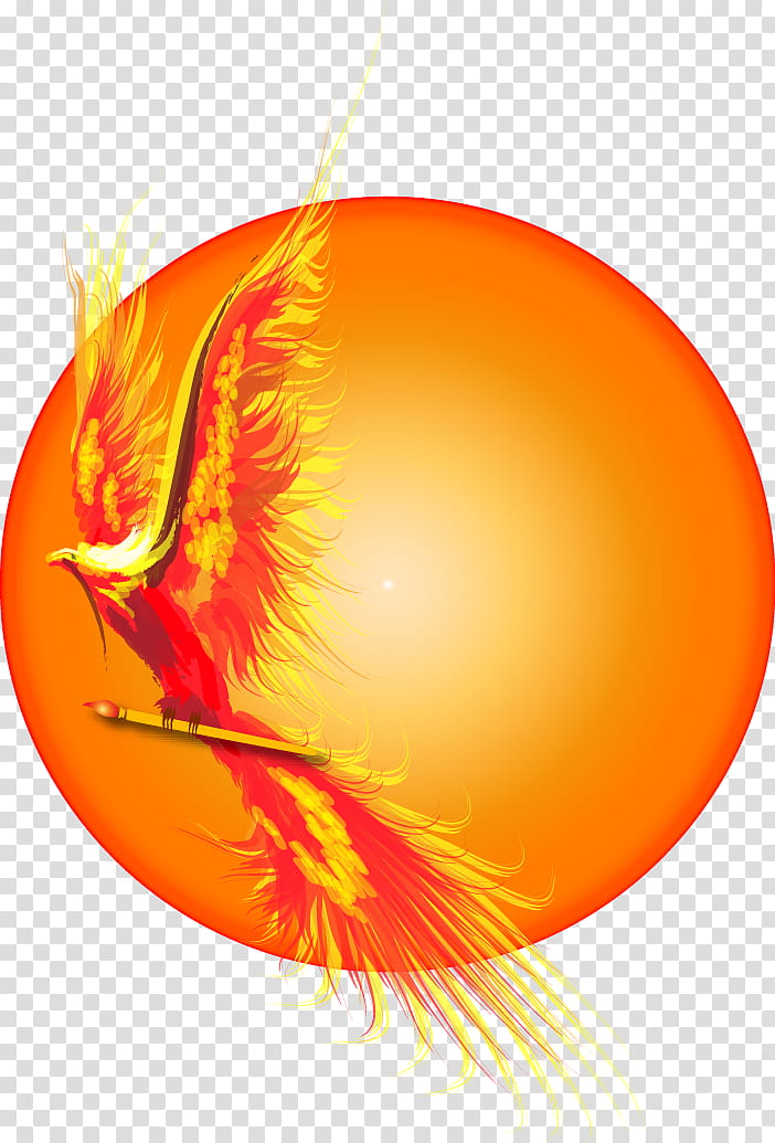 Phoenix Logo, Drawing, Music, Art Museum, Orange, Circle transparent background PNG clipart