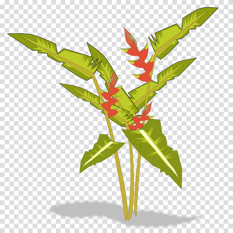 Bird Of Paradise, Heliconia Bihai, Heliconia Psittacorum, False Bird Of Paradise, Heliconia Chartacea, Heliconia Wagneriana, Bird Of Paradise Flower, Heliconia Vellerigera transparent background PNG clipart