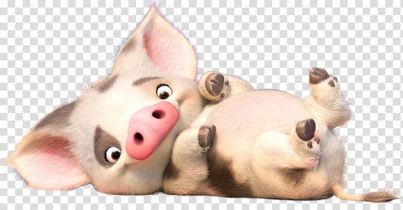 Moana pig character graphic transparent background PNG clipart